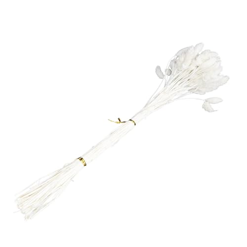 Ramo de flores secas decorativas 50 tallos para decoración miniatura 1