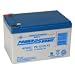 Replacement For DRIVE MEDICAL DESIGN MINI PHANTOM S35001692 / S35002692 WHEELCHAIR AND MOBILITY 12AH AGM WITH F2 TERM by Technical Precision Battery