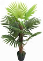 Lacers SMARAGDLINE künstliche Hanfpalme im Topf 90cm, realistische Optik, Dekoration für Wohnzimmer, Balkon und Büroräume - pflegeleicht, langanhaltend ohne spezielle Pflege Lacers SMARAGDLINE künstliche Hanfpalme im Topf 90cm, realistische Optik, Dekoration für Wohnzimmer, Balkon und Büroräume - pflegeleicht, langanhaltend ohne spezielle Pflege