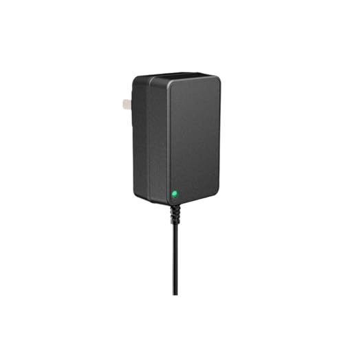 Adaptateur secteur 21V1A 21V0.8A bloc alimentation chargeur batterie lithium 21V