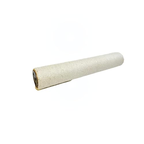 L܂Ƃ|[ pxE2{Zbg | TCU[vEM10lWΉ | yɗDϋvfށz (12*70cm,̃TCU)