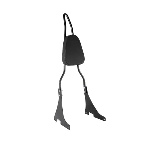 Dossier passager moto avec sissy bar en acier pour le confort du passager XL883