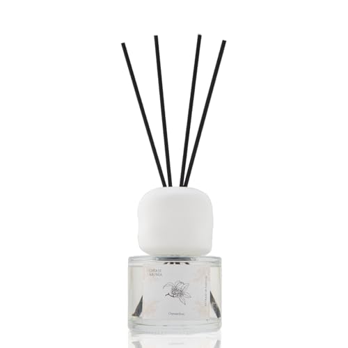 Chiayi `[C [hfBt[U[ LNZC̍ F 120ml xbh[/rO/ItBX/֗p