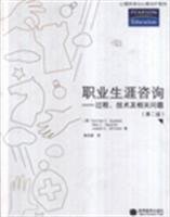 Career Counseling: Process, Issues, and Techniques 7106032913 Book Cover