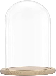 BELLE VOUS Glass Dome Cloche Bell Jar with Wooden Base - 31.5cm / 12.40 Inches Tall - Clear Decorative Tabletop Display Case with Tray for Fairy Lights, Centrepieces and Antiques