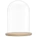 Cloche en verre avec socle au meilleur prix | Leroy Merlin