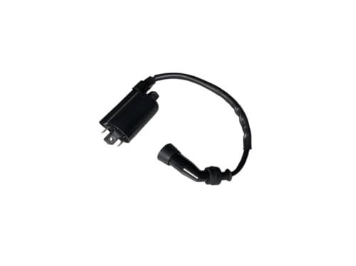 Encendido de motocicleta GS125 y GN125 125cc que soluciona fallas de arranque