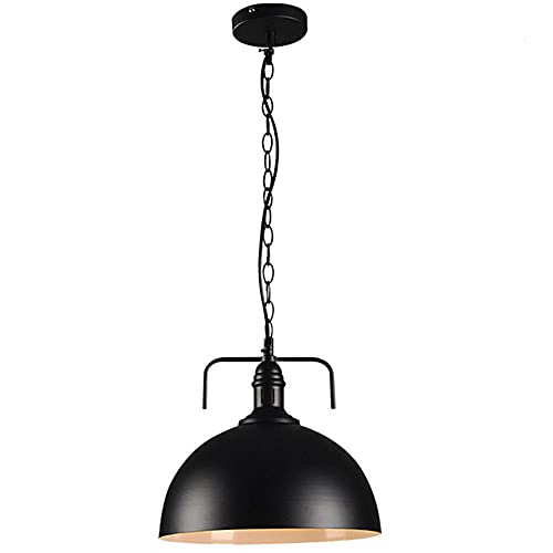Cache-pot en fer forge suspendu haut de gamme au design minimaliste europeen noir
