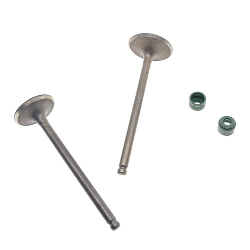 Válvula de cabeza corta CG196 con vástago de escape y retén de aceite
