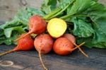 Seed Kingdom Beet Golden Detroit Great Heirloom Vegetable 300 Seeds