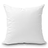 Foamily Throw Pillow Insert 26 x 26 inch Hypoallergenic Euro Sham 100 Virgin Fiber Bed Sofa Couch Decorative Indoor Pillows Made in USA