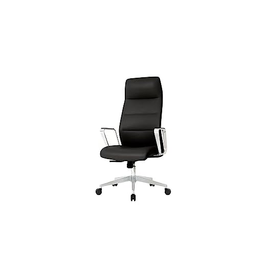 Nouhaus Schedule. The Simple Modern Office Chair. Work, Home Office Chair and Study Chair. Cute Desk Chair, Teen Executive Chair (Black)