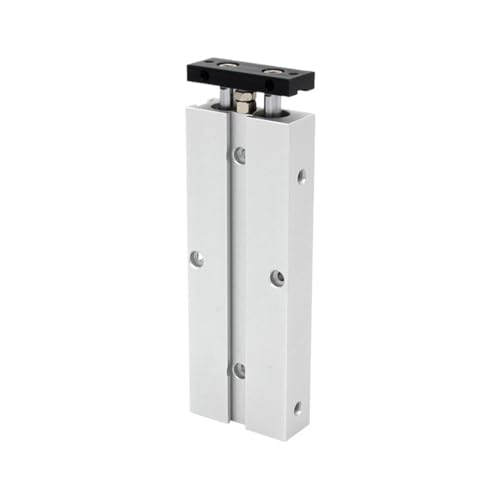 Vérin pneumatique TN32 double effet à double tige aimantée TN32X30-S