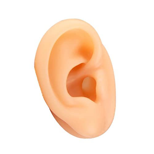 Human Ear Model Simulation Artificial Human Right Ear Silicone Ear Model for Ear Picking, Ear Piercing Teaching, Acupuncture (Right Ear)