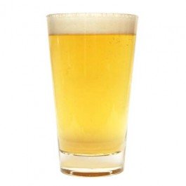 Strange Brew X-Ray Light Ale 5 Gallon Homebrew Ingredient Kit (All Grain Recipe Kit)