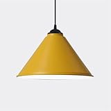Style de conception : Ce luminaire a un look industriel, léger, une combinaison unique de vintage et de style, conservant la texture et l'apparence d'origine mais attrayante.