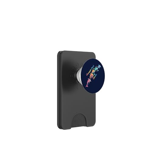 Amante de los delfines Clearwater Beach FL Familia Vacaciones en la playa PopSockets PopWallet para MagSafe