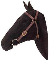 Toowoomba 7/8" Barcoo Bridle, Havana