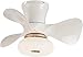 Ventilatore A Soffitto con Illuminazione A LED Dimmerabili Lampada Remota Silenzio Metallo Acrilico Lampadario Camera da Letto Ventilatore Elettrico Plafoniera Soggiorno dei Bambini Fan Lamp