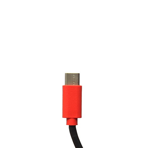 Portapow Usb-C To C 5Ft Charging Cable With Data Blocker #TOP2