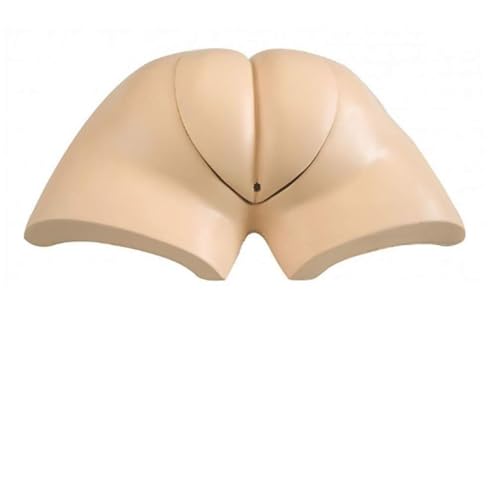 MQ108 Advanced Rectal Touch Examination Model - Professional Medical Simulator for Teaching and Training