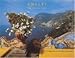 Amalfi: Italy's Divine Coast