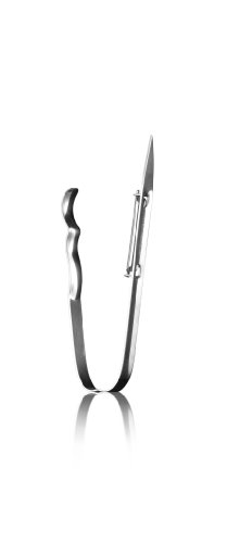 GP&Me 8082 - Pela asparagi in Acciaio Inox, 4 x 2,5 x 39,5 cm, Colore: Argento