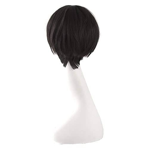 Image of straight men wig