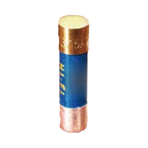 Fusible 5x20mm 3.15A contre les surcharges et courts-circuits domestiques