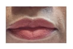 evpct 3Pcs Dark Red Purple Plum Matte Liquid Lipstick Sets for Women Matte Lip Stain Long Lasting Waterproof, Burgundy Blood Blue Red lipstick, Black Cherry Maroon Gothic 24 Hours Magic Lipsticks