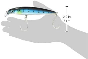 Amazon Rapala ラパラ ミノー Xラップ ロングキャスト 12cm 36g イワシ Bsrd Sxrl12 Bsrd ルアー ラパラ Rapala ルアー
