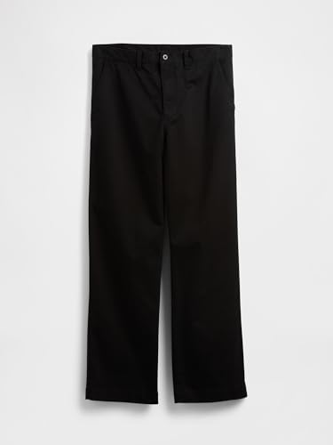 Image of GAP Men's 90's Loose Heavyweight Twill Pant