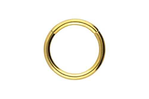 PIERCINGLINE Segmentring Clicker Chirurgenstahl Piercing Ring Nase Ohr Helix Septum Goldfarben 0 8 x 8 mm