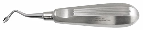 Large Bernard Spade Right Elevator, Premium Dental Instrument