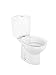 Roca A342394000 Colección Victoria - Inodoro con salida a suelo (cisterna y...