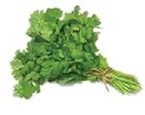 Todd's Seeds Coriander (Split Seed Cilantro) Slo-Bolting Herb Seed, Non-GMO, Chemical Free, High Germination (1/4 Pound)