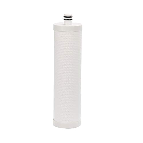 Frizzlife FZ-2 Replacement Filter Cartridge For MP99, MK99, MS99 Under Sink Water Filter & MV99 RV Filter 1 Count (Pack of 1)