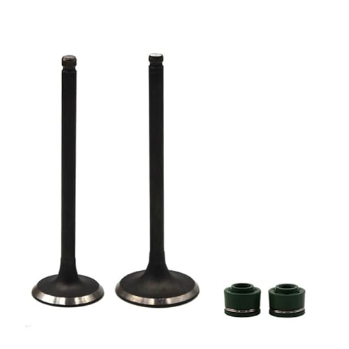 Tige de moto avec joints d'huile pour Yamaha TTR250 suspension kit pièces de rechange trail