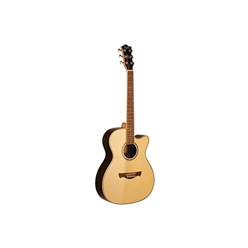 Violão eletro-acustico Tagima -WS 30 NT