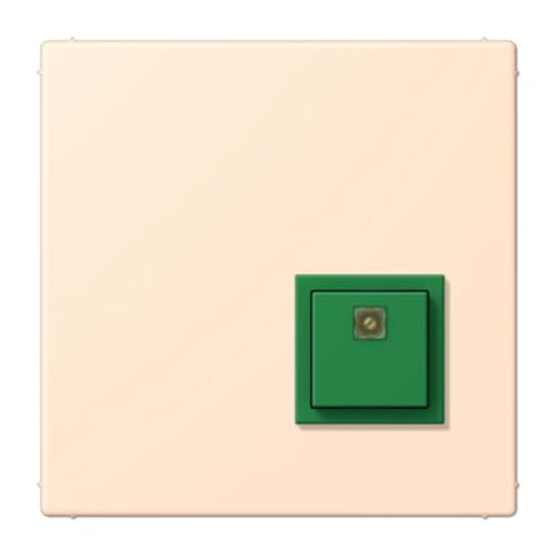 Bouton de confirmation LC32123 JUNG NRSLC0834AT238 pour commande - 2