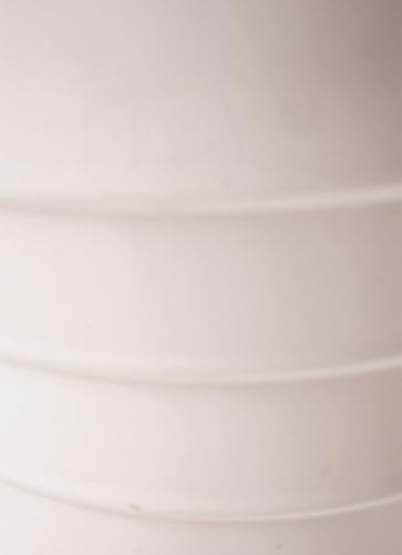 ケンチャヤシ8号 サバトリア白