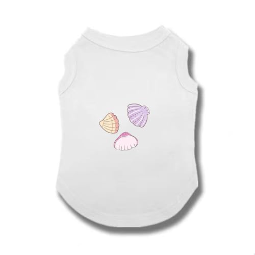 [XANPYO] ybg L   킢 hbOEFA L xXg Lk Eѕی ƒ ^ t   Vc ĕ  _炩  ?Oh q p  lGʗp y EȒP o|