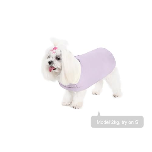 Chien à fourrure pour éviter les frissons pull col roulé sable printemps doux