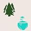 Pine