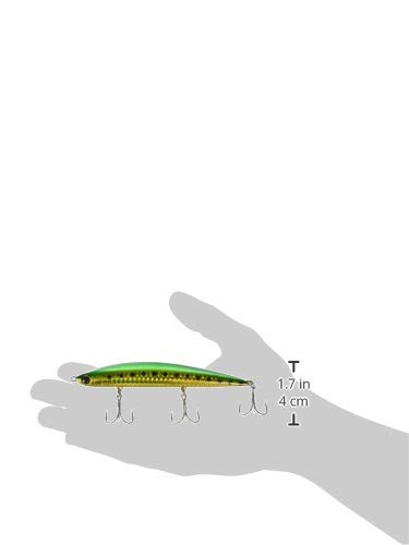 Jackson(ジャクソン) ペンシルベイト アスリート 12SSP 120mm 33g 3枚目