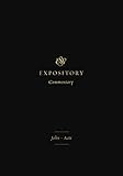 ESV Expository Commentary: JohnActs (9) ESV Expository Commentary: JohnActs (Volume 9) (ESV Expository Commentary, 9)