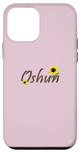 Oshun Orishas Goddess Oxum Ifa Yoruba Religion �X�}�z�P�[�X iPhone 12 mini �p