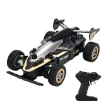 YDJ-D883 1:20 4WD 2.4G 5 Channel RC Stunt Racing Car (Black)