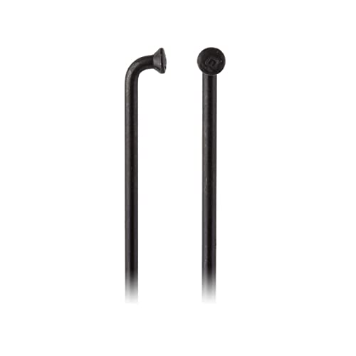 DT Swiss Champion - SCH023252S0100