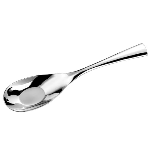 Zkbszn Tableware,Large Capacity Serving Spoon Luxurious 316L Stainless Steel Buffets Serving Spoon Utensils with Glasses Finish